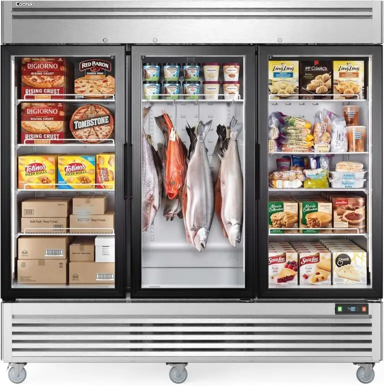 Coolski commercial freezer review: Honest Pros & Cons 6 Image 1 of Coolski commercial freezer review